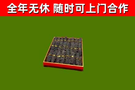隆化回收海参